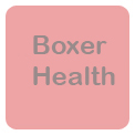 Boxer Breed Council Health 